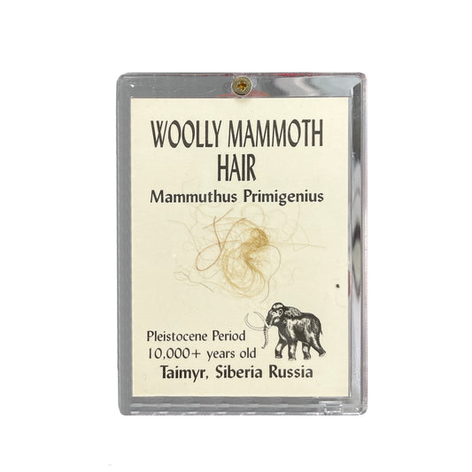 Mammoth Hair