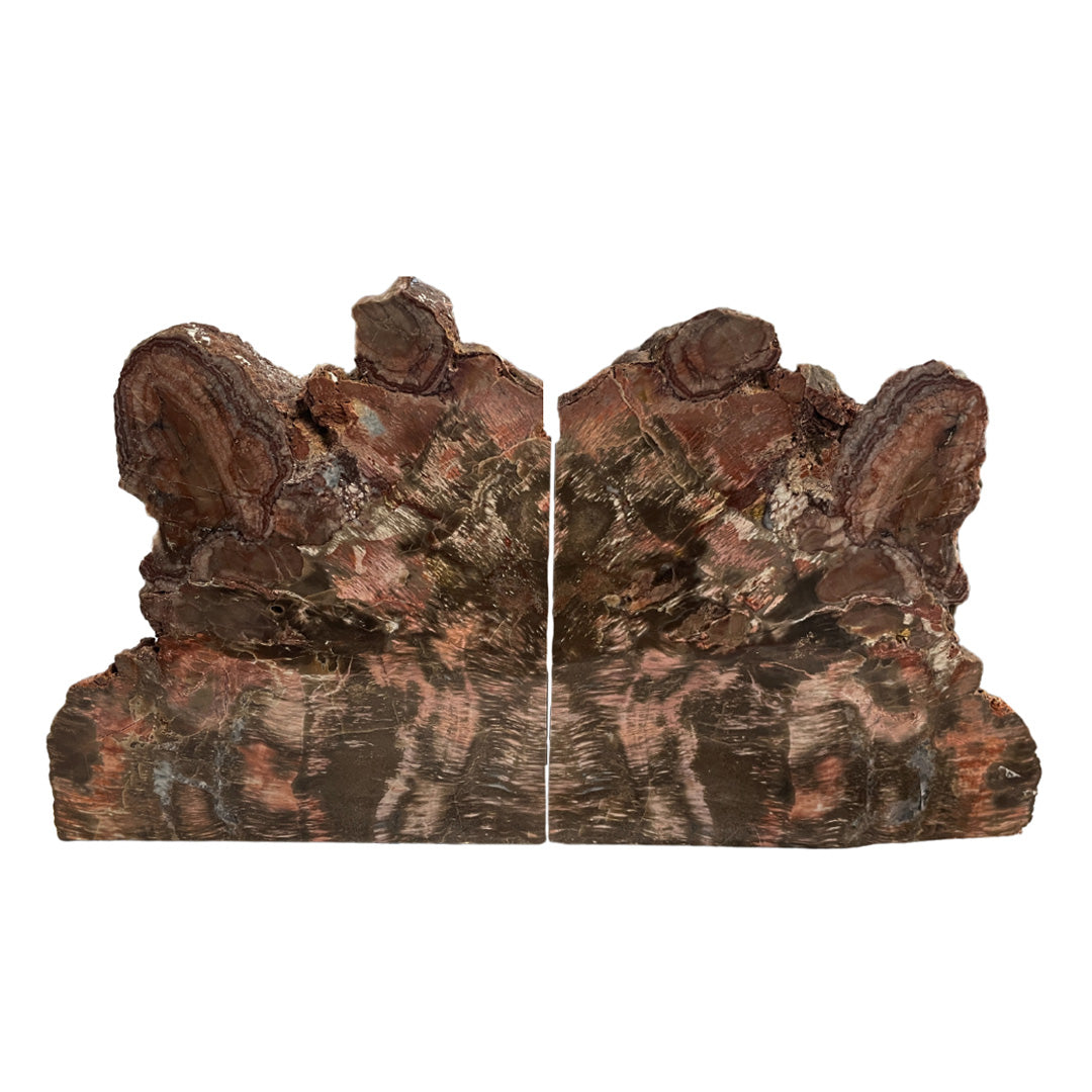 Petrified Wood Bookends