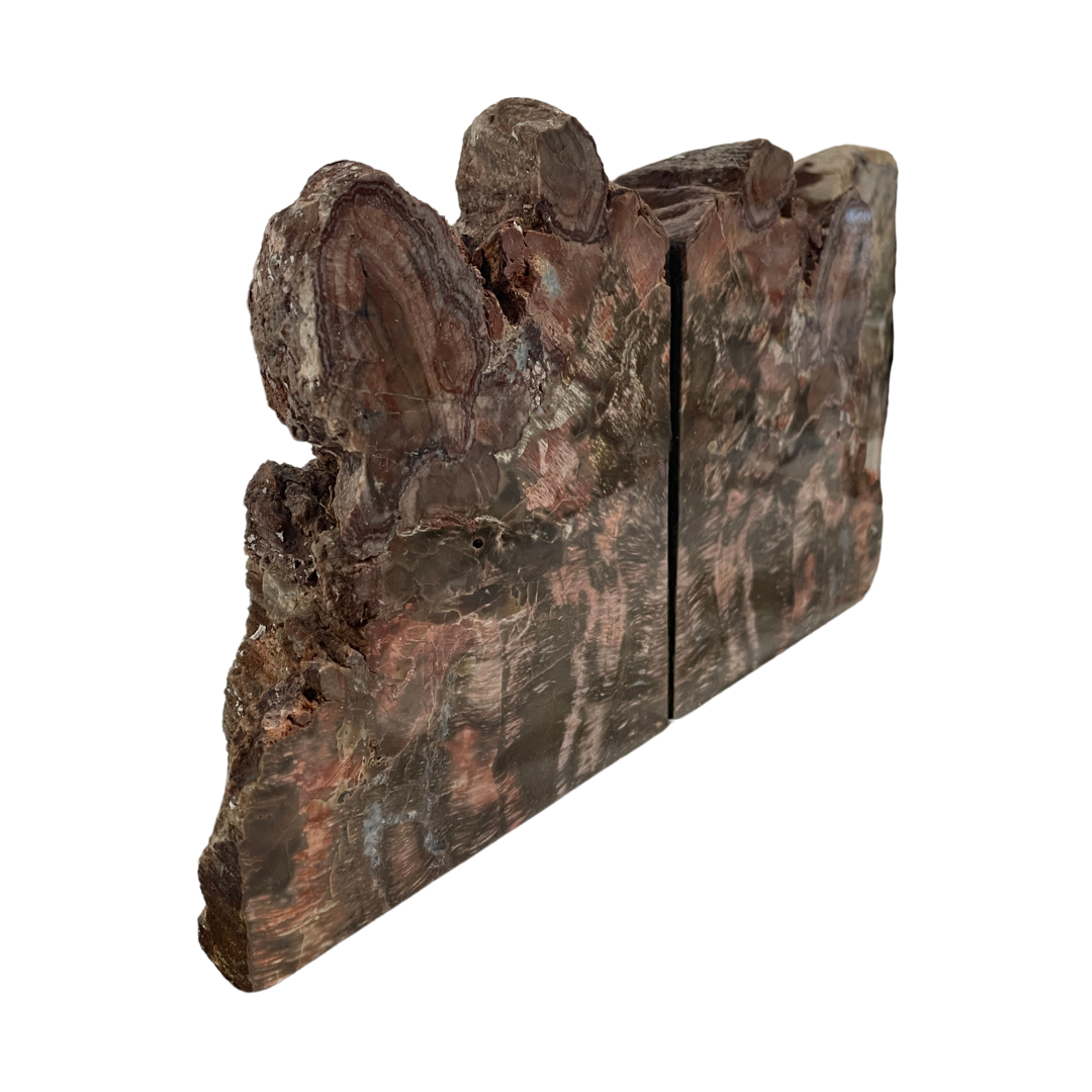 Petrified Wood Bookends