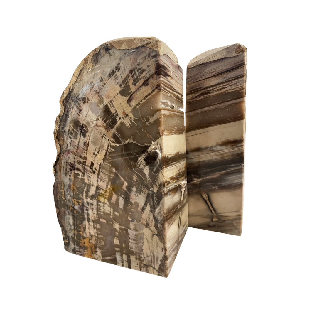 Petrified Wood Bookends