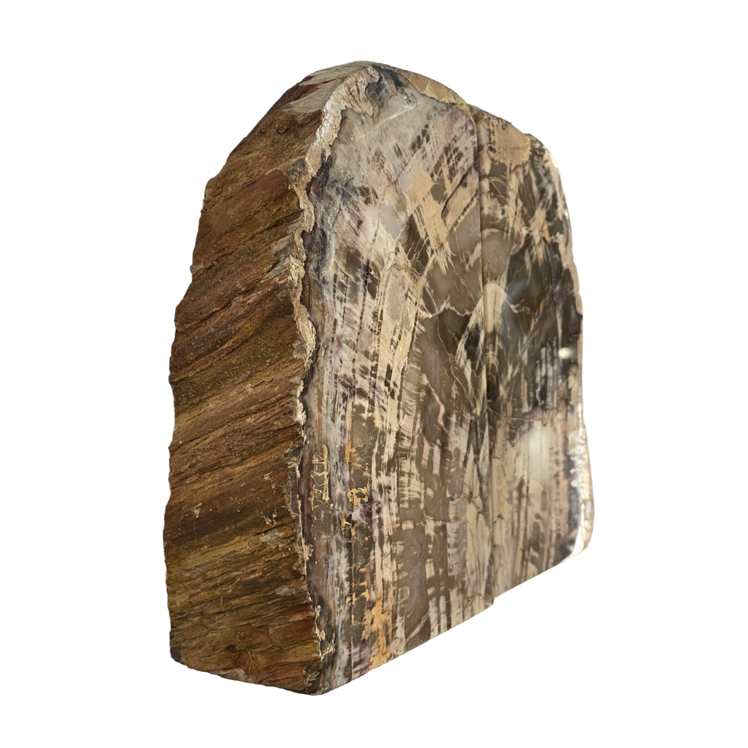 Petrified Wood Bookends