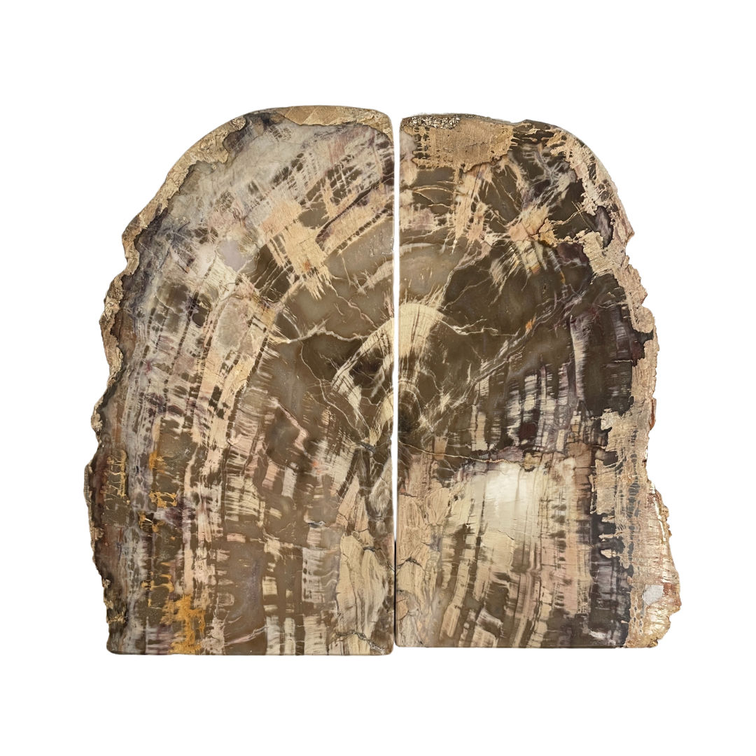 Petrified Wood Bookends