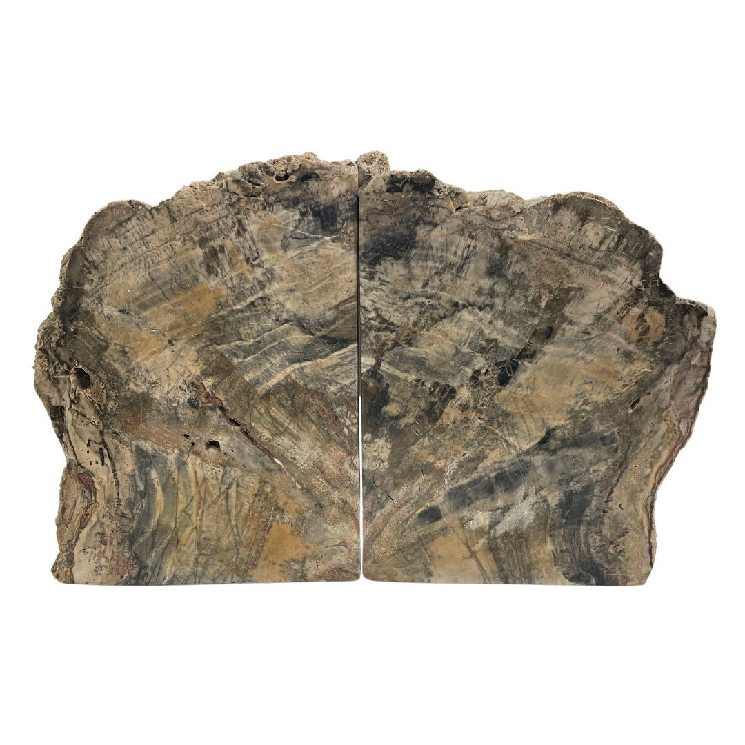 Petrified Wood Bookends