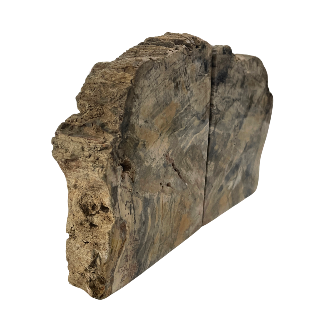 Petrified Wood Bookends