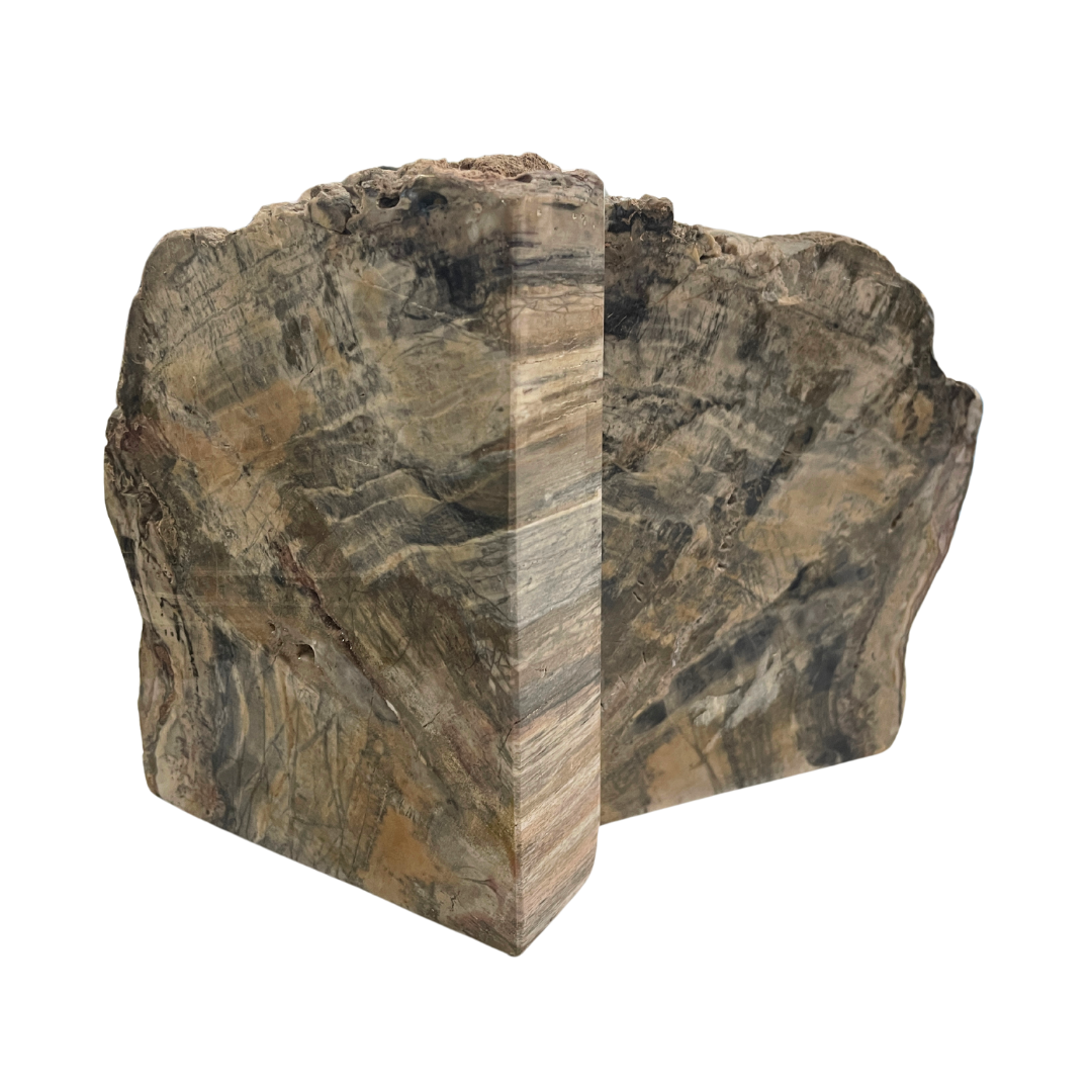 Petrified Wood Bookends