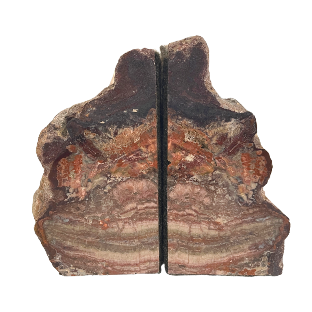 Petrified Wood Bookends