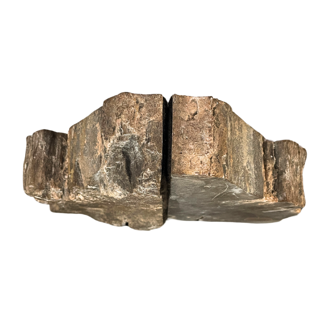 Petrified Wood Bookends