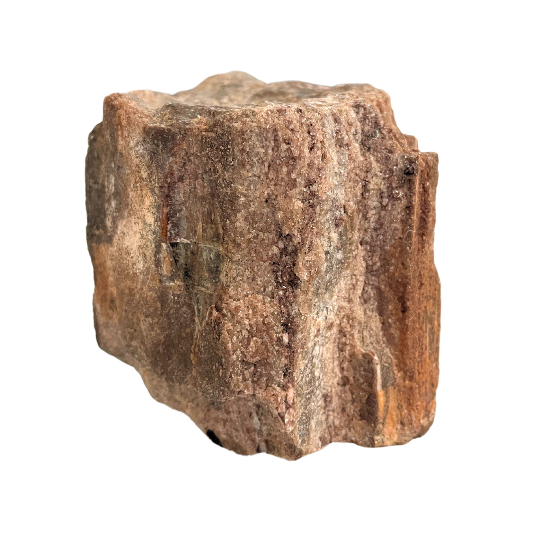 Petrified Wood