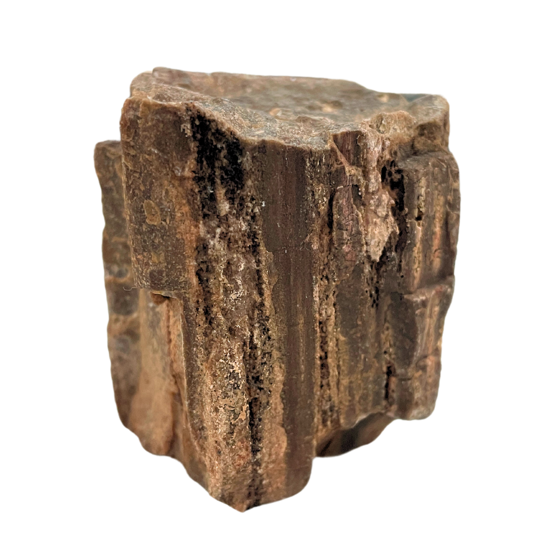 Petrified Wood