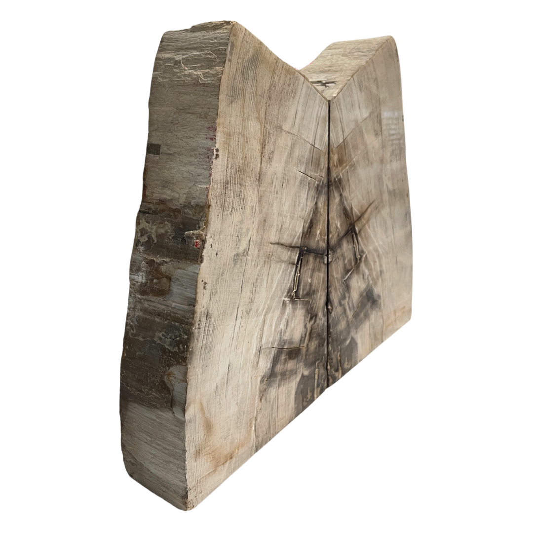 Petrified Wood Bookend