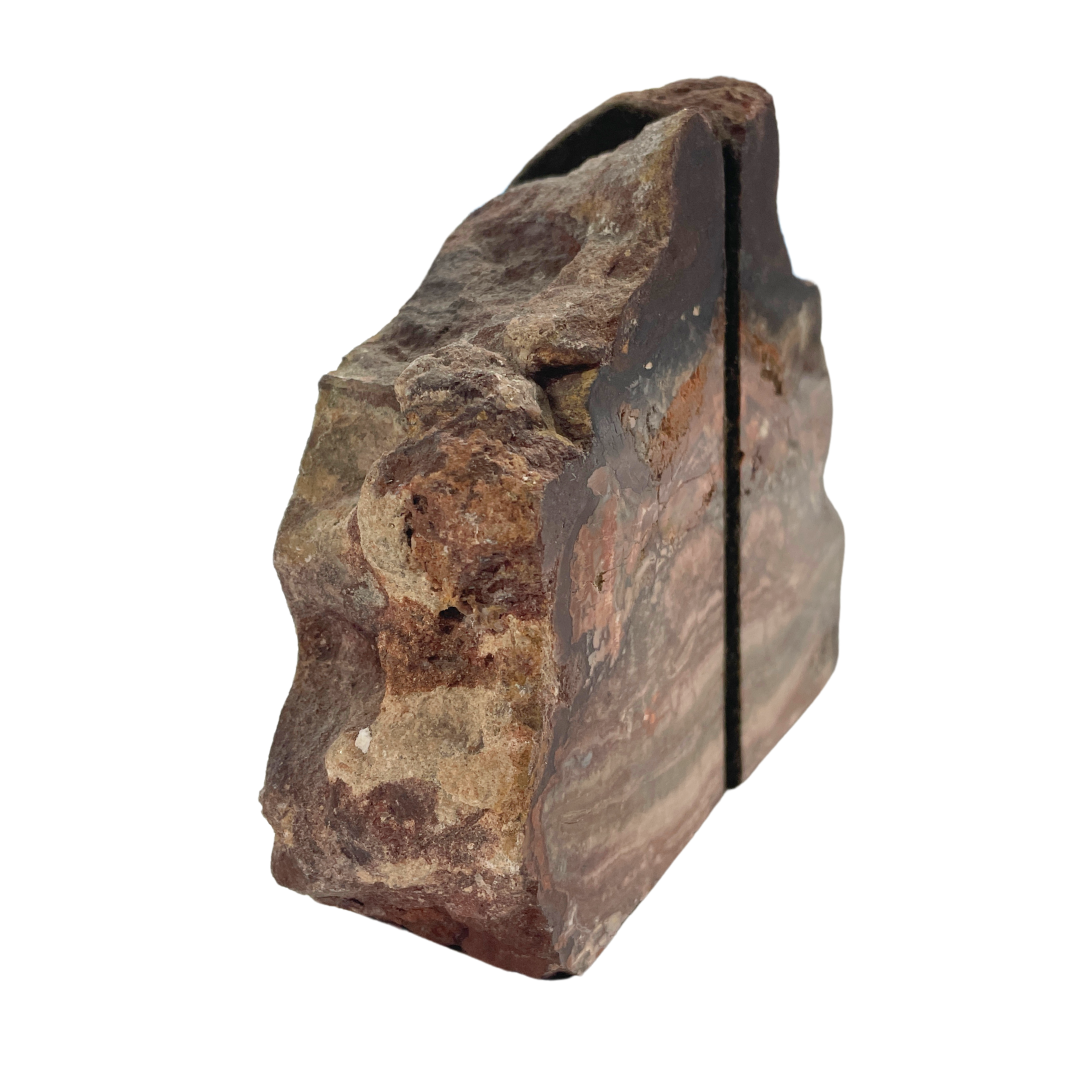 Petrified Wood Bookends