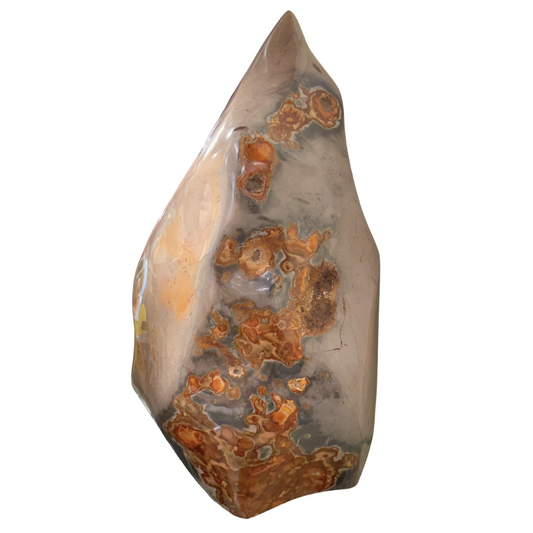 Ocean Jasper Freeform