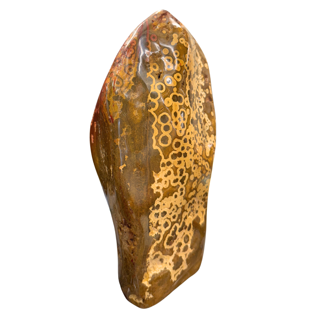 Ocean Jasper Freeform