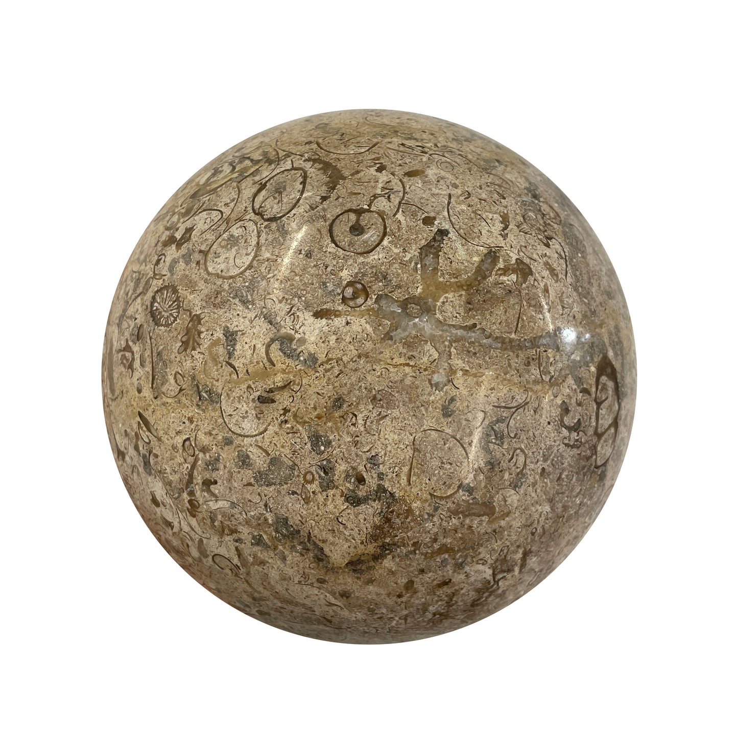 Fossil Stone Sphere