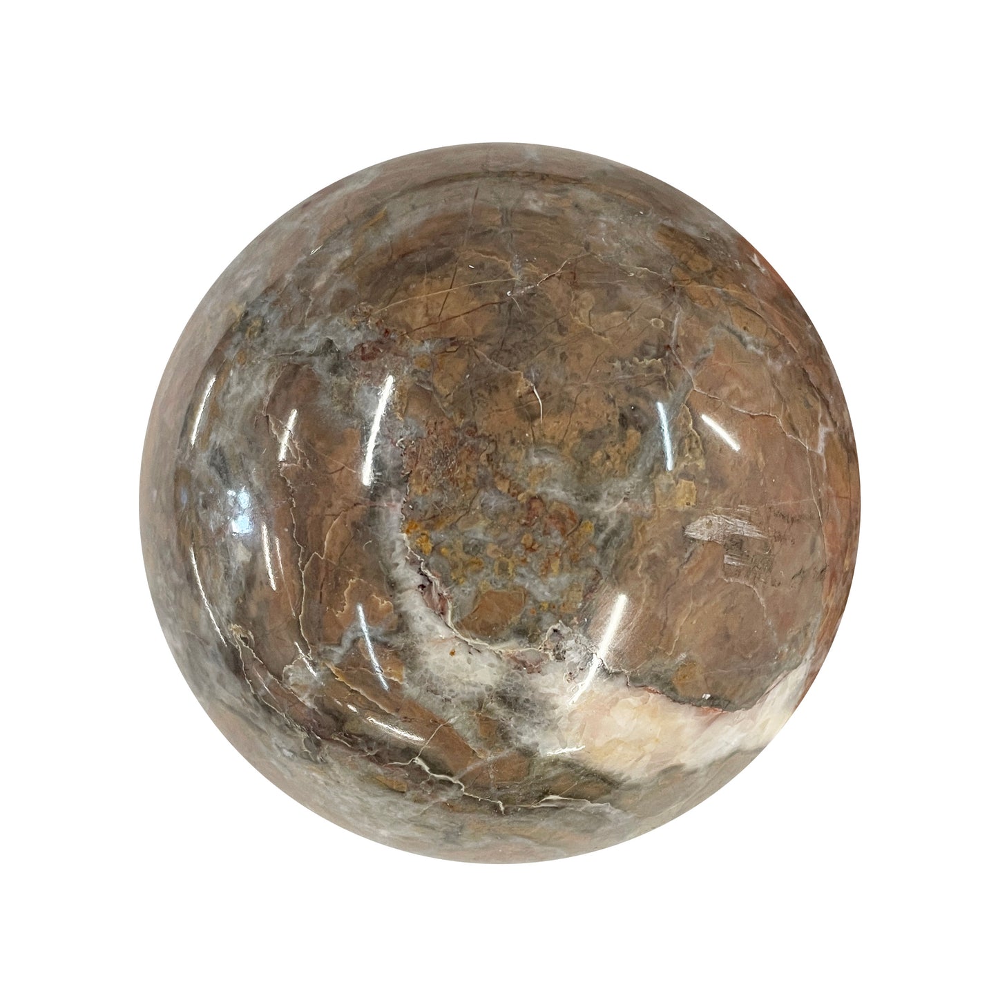 Petrified Wood Sphere