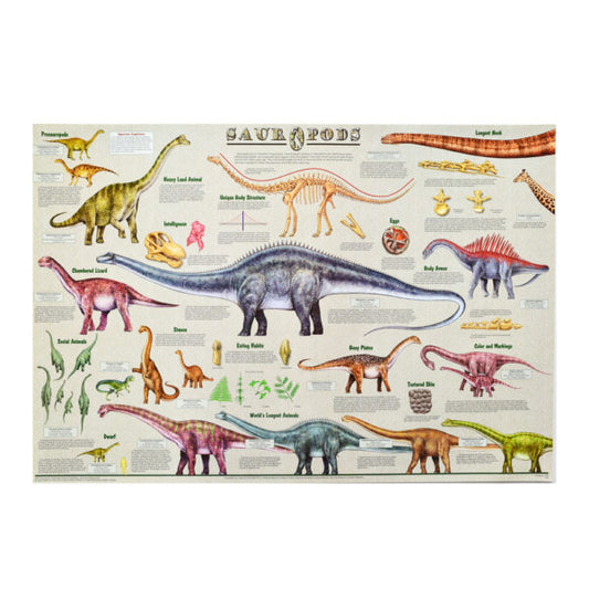 Sauropods Poster