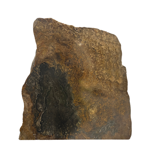 Stromatolite