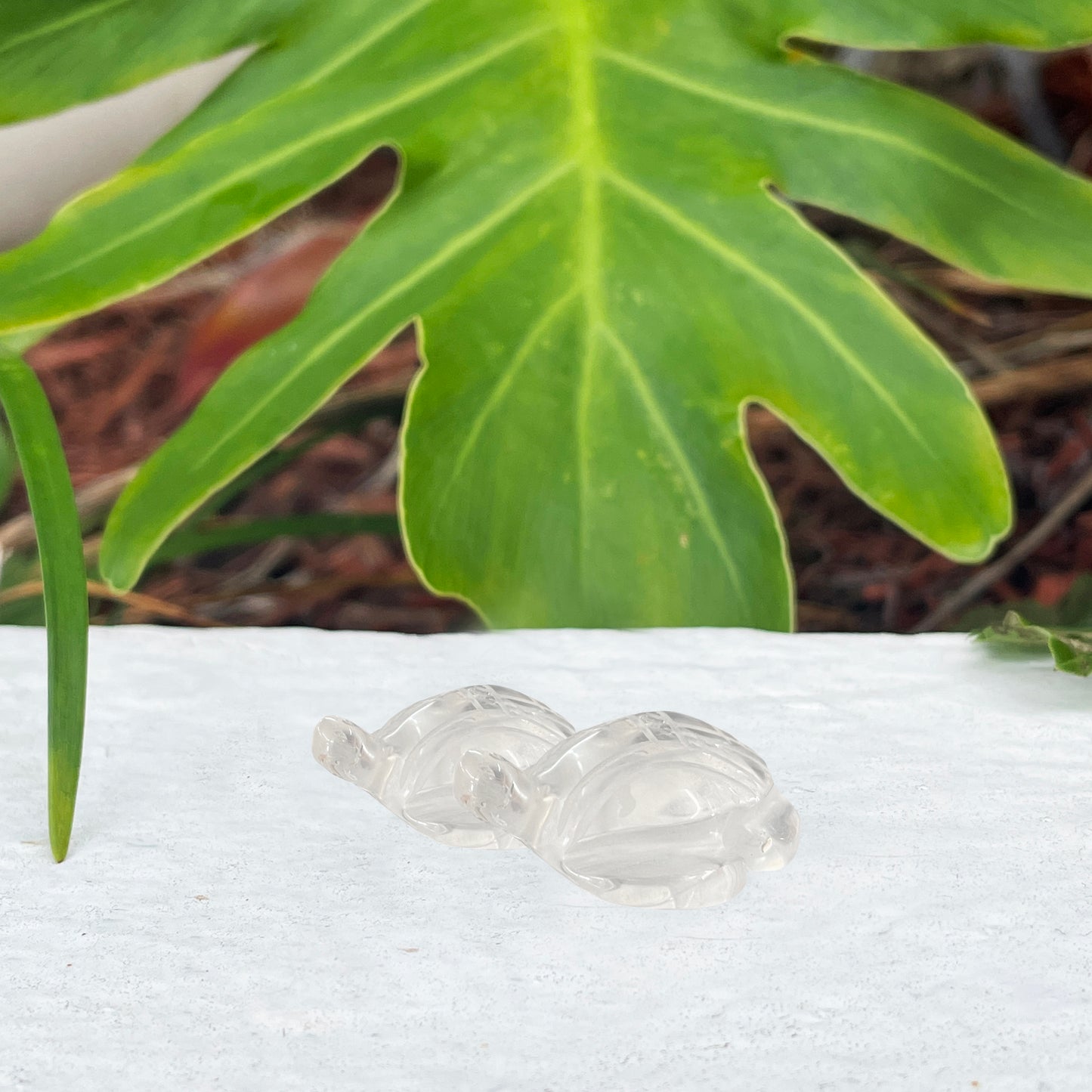 Clear Quartz Turtle