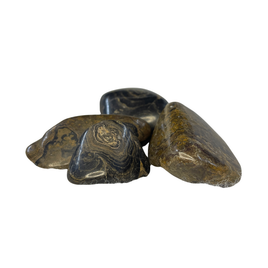 Stromatolite