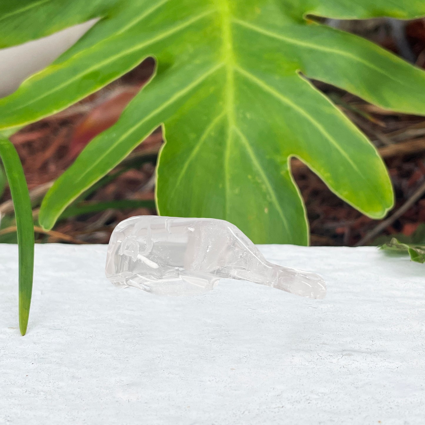 Clear Quartz Whale