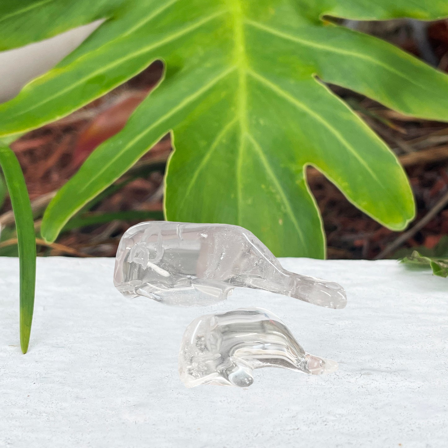 Clear Quartz Whale