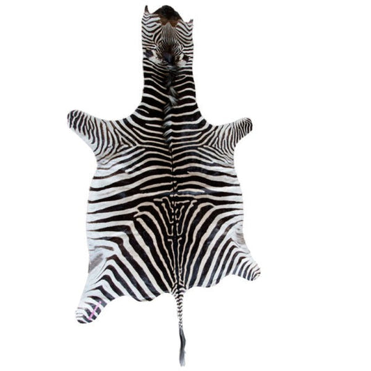 Zebra Skin