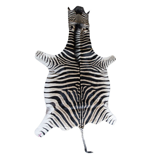 Zebra Skin