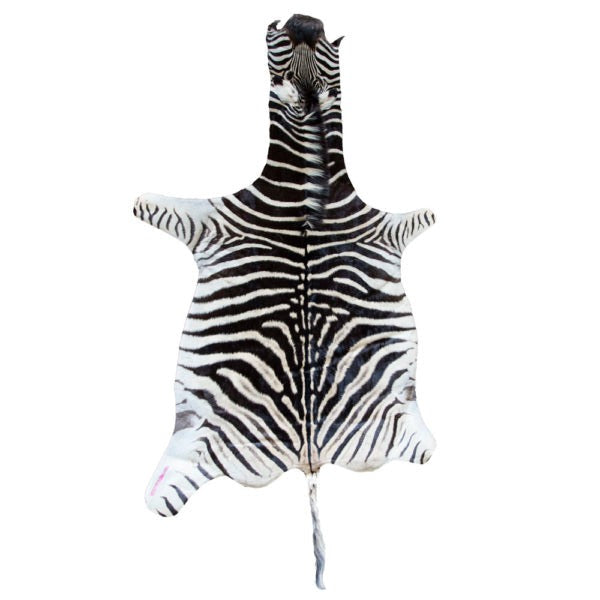 Zebra Skin