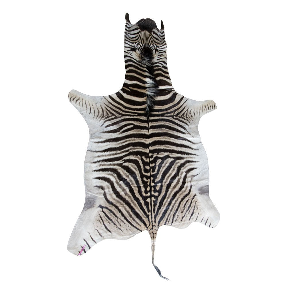 Zebra Skin