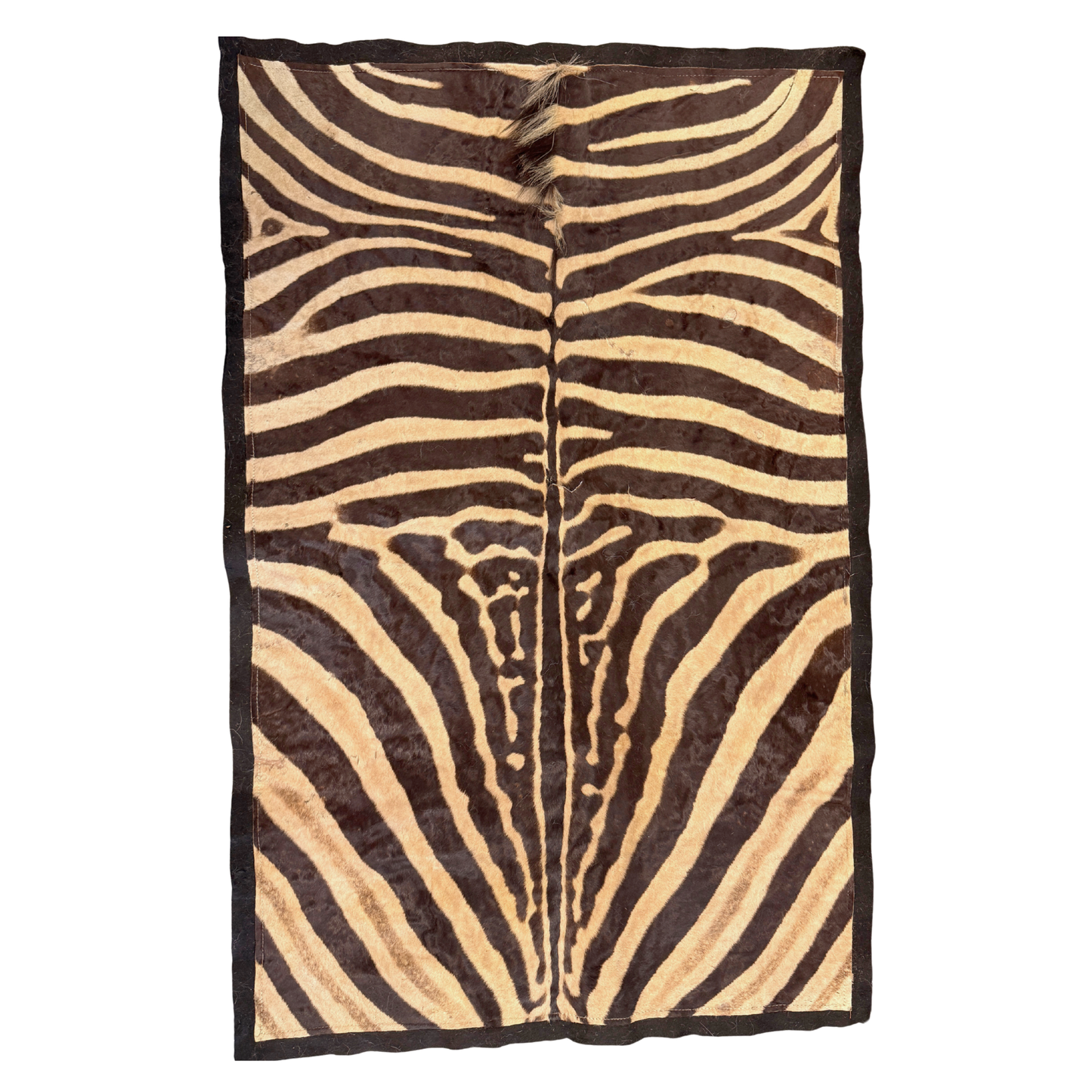Zebra Skin
